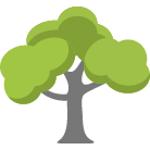 Greenwood Tree Removal